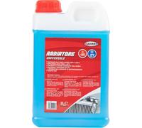 Liquido tergivetro effetto anticongelante -22°C 2L