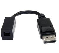 STARTECH Adattatore da DisplayPort a Mini DisplayPort, 150mm