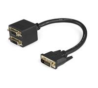 Startech Cavo Duplicatore Di Splitter Video Dvi-d One Size Black