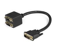 StarTech.com Cavo splitter video digitiale DVI-D a 2 DVI-D da 30 cm, Cavo sdoppi