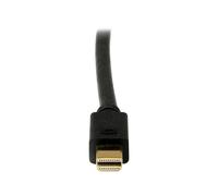 StarTechcom 6ft Mini DisplayPort DP to DVI Adattatore MDP2DVIMM6B