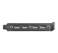 StarTechcom Adattatore piastra slot USB A femmina 4 porte 0,286 m CE USBPLATE4