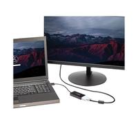 StarTechcom Cavo Adattatore 3 in 1 DisplayPort a VGA/DVI/HDMI DP2VGDVHD