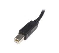 StarTechcom Cavo USB 2.0 per Stampante tipo A/B maschio maschio Cavo USB2HAB5M