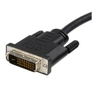 StarTechcom DisplayPort auf DVI Adapter Konverter Kabel DP DP2DVIMM10