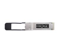 StarTechcom QSFP28 100G Loopback Module/Adapter Adattatore LOOPBACKPLUG100G
