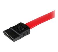 StarTechcom SATA VerlängerungsCavoSerial-ATA Verlängerung SATAEXT30CM