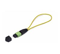 StarTechcom Single Mode MPO-12 Male Loopback Plug Adattatore LOOPBACKMTP12OS2SMM