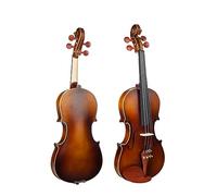 Starter Kit Per Violino 4/4 A Grandezza Naturale Con Custodia Rigida Corde Per Arco In Legno Brasiliano Per Principianti Accessori Per Violino Per Adulti (Color : 01)