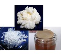 Starter Kit Trio 40g+100g Kefir di Latte, d'Acqua + SCOBY - KEFIRALIA