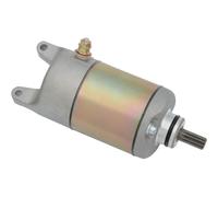 Starter Moose Utility 2110-0421