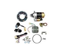 Starter Motor/Avviamento KIT CONVERSIONE AVVIAMENTO ELETTRICO L70 PER MOTORI DIESEL YANMAR 178F MOTORINO AVVIAMENTO Starter