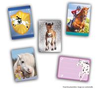 Starter pack - PANINI - Collezione di carte per appassionati di cavalli - Contiene 1 raccoglitore + 2 tasche
