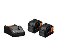 FEIN Starter Set Batterie ProCORE 18V 12.0Ah AS, 2 Batterie agli Ioni di Litio con caricabatterie rapido GAL 18V-160, Celle HighPower, Ricarica rapida Power Boost, Dispositivo per montaggio a parete