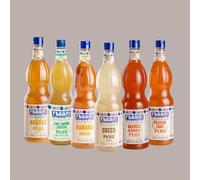 Starter Set sBritz Fabbri, 6 Sciroppi 1 L per sBritz, l'alternativa allo Spritz, Lucgel