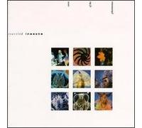 Startled Insects/Curse Of The Pheromones