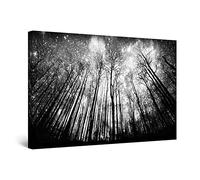 Startonight Quadro su Tela Bianco e Nero Inserisci la Notte, Stampe Incorniciato e Pronta da Appendere Design Moderno Arredamento Arte Fotografia Grande Formato 80 x 120 cm Luminoso al Buio