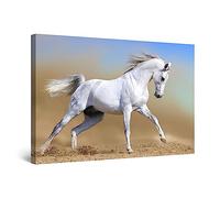Startonight Quadro su Tela Cavallo Arabo, Grandi Quadri Animali Moderni Stampe Grande per Soggiorno Stampe Incorniciate 80x120 cm, Decorazione Parete, Idea Regalo Elegante Luminoso al Buio