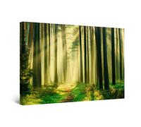 Startonight Quadro su Tela - Pittura della Foresta degli Alberi di Luce del Vicolo Verde - Grande Opere d'Arte Pronte per Appendere Stampa Moderna e Contemporanea 80 x 120 cm
