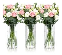 STARVAST 3 piccoli vasi decorativi, 9 x 20 cm, trasparenti per decorazione da tavolo, vaso per fiori, vaso in vetro per tulipani, erba della pampa, orchidee, rose