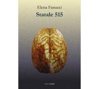 Statale 515 - Fanucci Elena