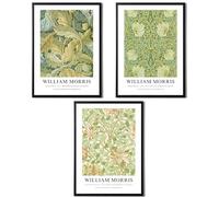State Media Vision William Morris, set di 3 stampe artistiche, Acanto, Caprifoglio, Pimpernel, immagini di artisti famosi, disponibili in una varietà di dimensioni (set 7, A3 con cornice nera)