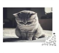 Stati Uniti Shorthair Puzzle Impossible 1000 Pezzi Gatto carino Decorazione Per La Casa. Giochi Rilassamento E Intelligence Per Adulti E Ragazzi Da 14 Anni 1000pcs (75x50cm)