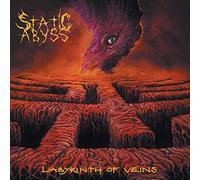 Static abyss - Labyrinth of veins