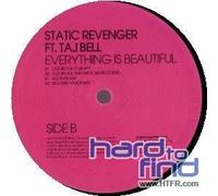 Static Revenger Ft Taj Bell - Everything Is Beautiful