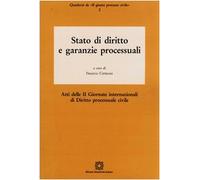 Stato di diritto e garanzie processuali