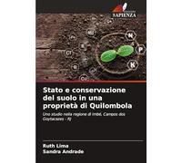 Stato e conservazione del suolo in una proprietà di Quilombola: Uno studio nella regione di Imbé, Campos dos Goytacazes - RJ