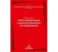 Stato patrimoniale e analisi di bilancio in condominio