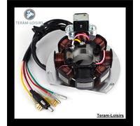 Stator Accensione Alternatore Teram Loisirs GAS GAS EC 200/250/300 2000-2004