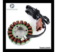 Stator Accensione per Piaggio X9 500 Evolution ABS De 1998 1999 2000 2001 À 2007