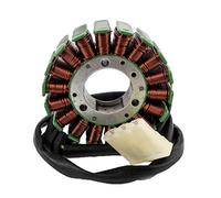 Stator alternatore adatto per KTM Duke 200/390 RC200/390