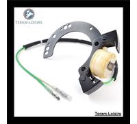 Stator Alternatore Mercury Tipo OEM 855721A4 Pezzo di Ricambio Garanzia 1 Anno