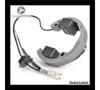 Stator Alternatore Per KTM 50 Senior Adventure 2002 2003 2004 2005 2006 2007
