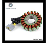 Stator Alternatore Per Lynx Rave 600 Del 2012 2013 2014 NUOVO