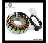 Stator Alternatore Per Yamaha FZ6 2009-2016 Nero 1 Unità Ricambio