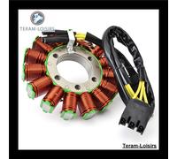 Stator Alternatore Rame per Triumph Speed Triple 1050 2018 Ricambio ST-T-T107