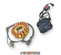 Stator Assy & RR Unit compatibile con Royal Enfield Classic Meteor 350 Himalayan
