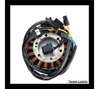Stator Per Suzuki VS 800 Intruder Del 1992 1993 1994 1995 1996 1997 NUOVO