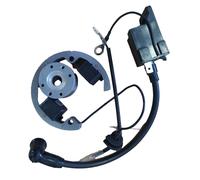 Stator Rotor Flywheel Ignition Coil KTM 50 SX Senior Pro Junior Mini Adventure