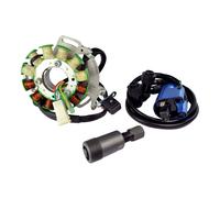 Statore 100 W Estrattore Accensione Bobina Kit Per Banshee OEM Ricamb. #