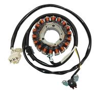 Statore: SGR Trifase 18 Poli Yamaha 530 Moto Motore Ricambi Ciclomotore