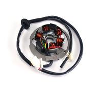 STATORE 6 POLI C/PIASTRA IMP.DUCATI MALAGUTI 50 F10/F12-BETA