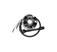 STATORE 6 POLI CON PIASTRA PIAGGIO Ape FL3 Europa 50 1995 16436204