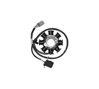 STATORE 8 POLI KYMCO V-Link (SD25QA) 125 ANNO DAL 2003 163064