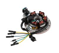 Statore accensione Accensione Per Motocicletta Magneto Statore Volano Con Luce Per YX 1401P56FMJ W063 Motore BSE SDG SSR