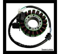 Statore Accensione Alternatore per Yamaha T-max 500 Di 2008 2009 2010 2011 Nuovo